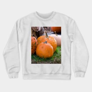 Bumpy pumpkin landscape in fall Crewneck Sweatshirt